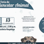 Llega a Chía la Feria de Bienestar Animal, organizado por la Secretaría de Salud