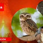 La Car comprometida con las especies nativas por incendios.