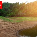 Bajos niveles en los embalses obligan al racionamiento.